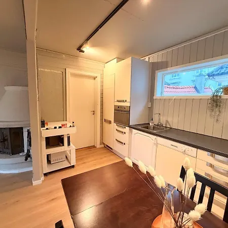 Historic Charm In Bergens Heart Appartamento *