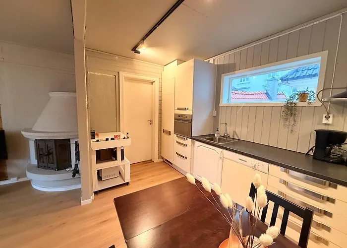 Historic Charm In Bergens Heart 公寓 *